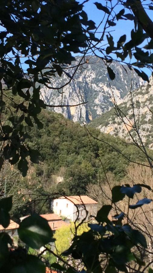 Aude Escape Bed and Breakfast Saint-Martin-Lys Buitenkant foto